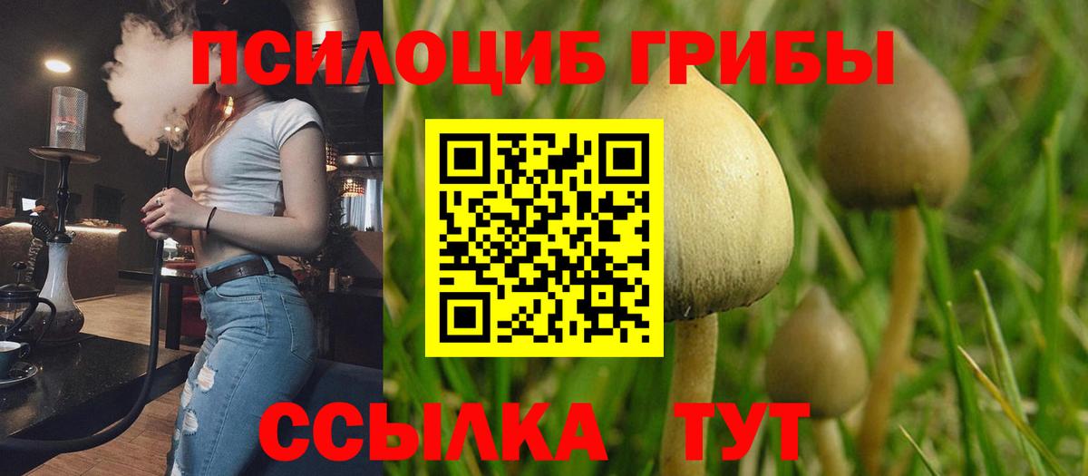 наркошоп  Вход с VPN  Кемерово  Галлюциногенные грибы Cubensis 
