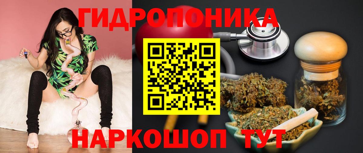 Каннабис ГИДРОПОН Кемерово